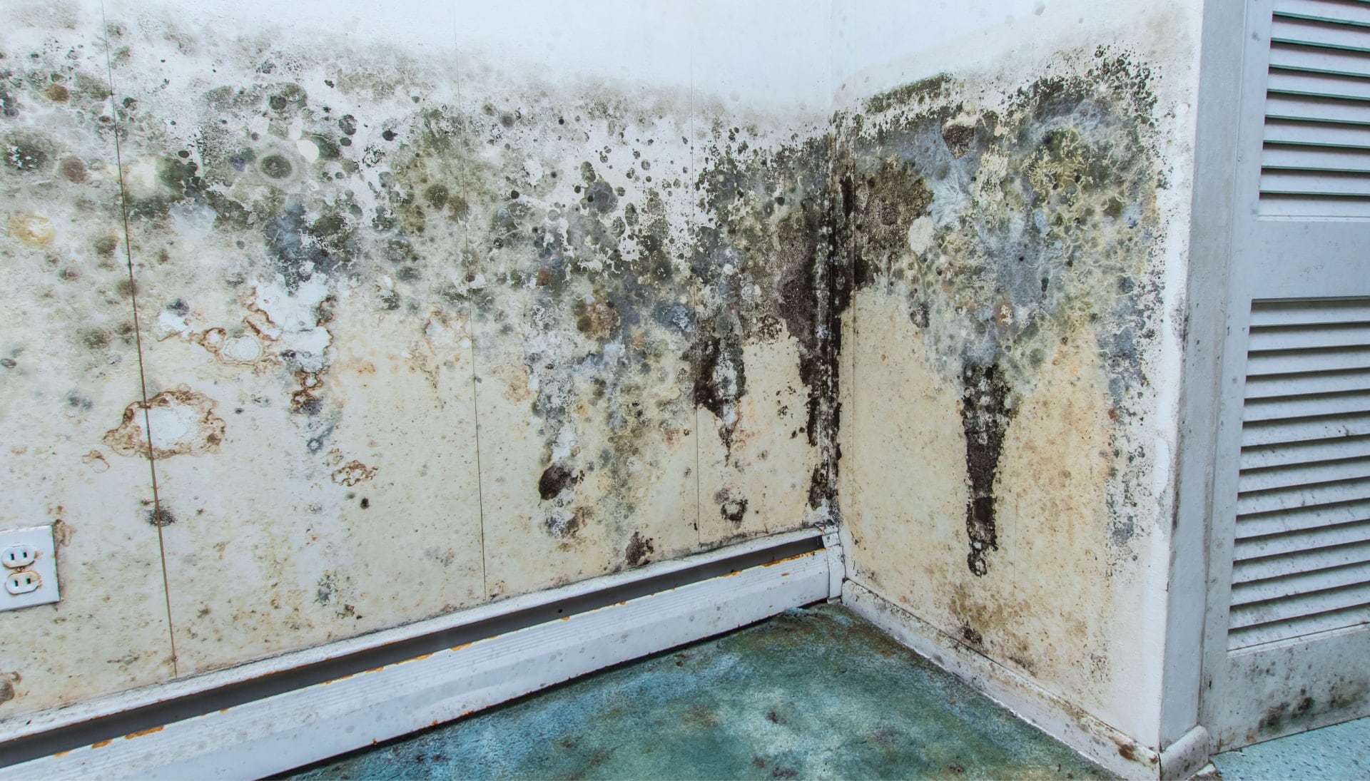A mold remediation team using specialized techniques to remove mold damage and control odors in a Richmond property, with a focus on safety and efficiency